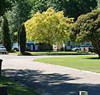Mitchell Gardens Holiday Park - Accommodation Great Ocean Road