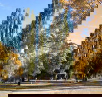 Omeo Caravan Park - Accommodation Great Ocean Road