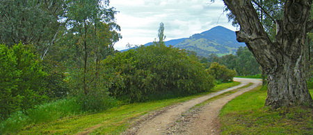 Baranduda Homestead - Accommodation Great Ocean Road 1