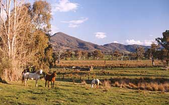 Baranduda Homestead - Accommodation Great Ocean Road 5