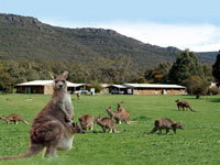 Halls Gap Log Cabins - Accommodation Great Ocean Road 2