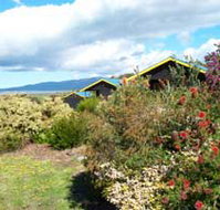 Black Cockatoo Cottages - Accommodation Great Ocean Road
