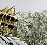 Silverski - Accommodation Great Ocean Road