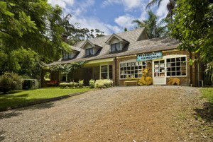 Tamborine Mountain QLD Accommodation Great Ocean Road