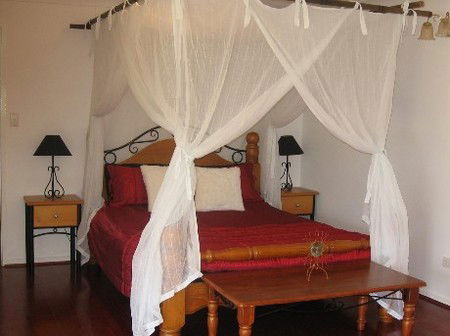 Attunga Park Country Retreat - Accommodation Great Ocean Road 4