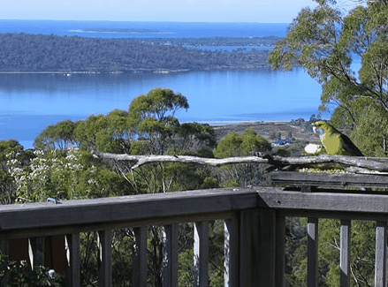 Bed in the Treetops - Accommodation Great Ocean Road