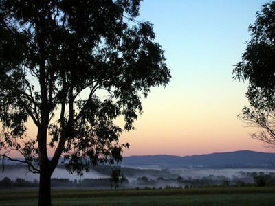 Bluebush Estate - Accommodation Great Ocean Road 0