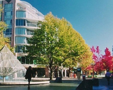 Canberra Wide Apartments - City Plaza - Accommodation Great Ocean Road 2