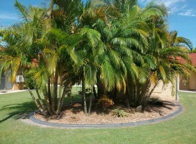 Yamba Motor Inn - Accommodation Great Ocean Road 5