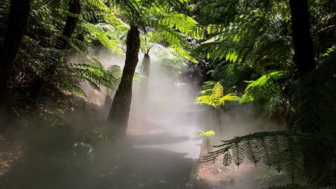 Australian National Botanic Gardens - Accommodation Great Ocean Road 4