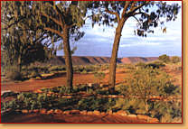 Kings Creek Station - Accommodation Great Ocean Road 1