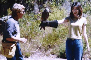 Eagles Heritage Raptor Wildlife Centre - Accommodation Great Ocean Road 2