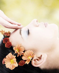 Retreat In The Suburbs - Accommodation Great Ocean Road 2