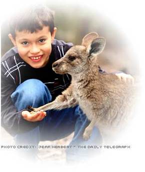Australia Walkabout Wildlife Park - Accommodation Great Ocean Road 1
