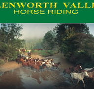 Glenworth Valley Horseriding - Accommodation Great Ocean Road