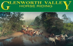 Glenworth Valley Horseriding - Accommodation Great Ocean Road 0