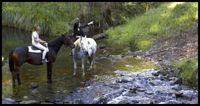 Glenworth Valley Horseriding - Accommodation Great Ocean Road 1