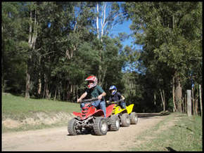 Glenworth Valley Horseriding - Accommodation Great Ocean Road 3