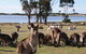 East Coast Natureworld - thumb 1