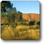 Canteen Creek NT Accommodation Great Ocean Road