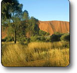 Uluru - Kata Tjuta National Park - Accommodation Great Ocean Road