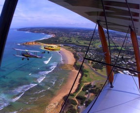 Tiger Moth World Adventure Park - Accommodation Great Ocean Road 1