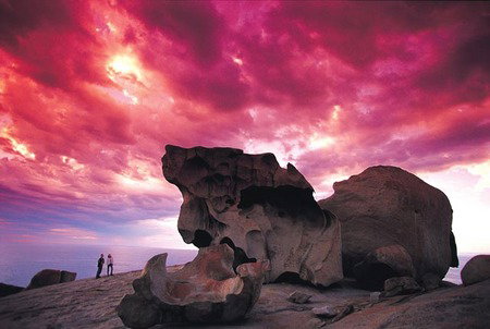 Kangaroo Island Adventure Tour 2 Day/1 Night - Accommodation Great Ocean Road 0
