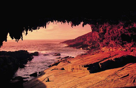 Kangaroo Island Adventure Tour 2 Day/1 Night - Accommodation Great Ocean Road 2