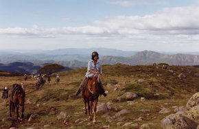 High Country Horses - Accommodation Great Ocean Road 0