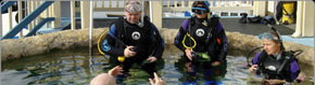 Scuba World - Accommodation Great Ocean Road 2