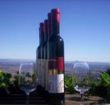 Mount Tamborine Winery  Homestead - Accommodation Great Ocean Road
