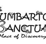 Kumbartcho Sanctuary - Accommodation Great Ocean Road
