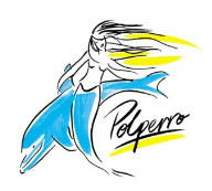 Polperro Dolphin Swims - Accommodation Great Ocean Road 0