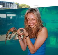 Crocosaurus Cove - Accommodation Great Ocean Road