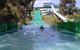 Kalamunda Wet 'n' Wild - thumb 1