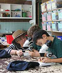 Australian National Botanic Gardens - Accommodation Great Ocean Road 2