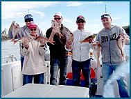 Odyssey Charters - Accommodation Great Ocean Road 2