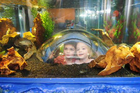 Scitech - Accommodation Great Ocean Road 3