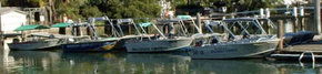 Brooklyn Central Boat Hire & General Store - Accommodation Great Ocean Road 1