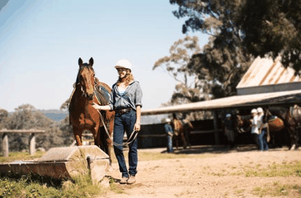 Watsons Trail Rides - Accommodation Great Ocean Road