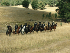 McCormacks Mountain Valley Trail Rides - Accommodation Great Ocean Road 0