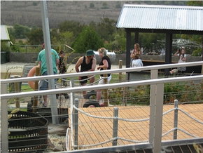 Auldana SA Accommodation Great Ocean Road