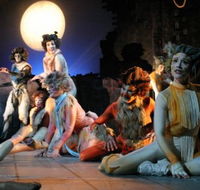 Harvest Rain Theatre Company - Accommodation Great Ocean Road