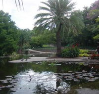 Brisbane City Botanic Gardens - Accommodation Great Ocean Road