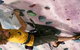 Urban Climb - thumb 0