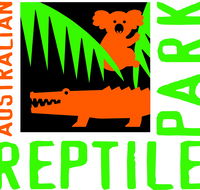 Australian Reptile Park - Accommodation Great Ocean Road