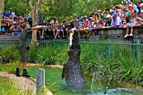 Australian Reptile Park - Accommodation Great Ocean Road 4