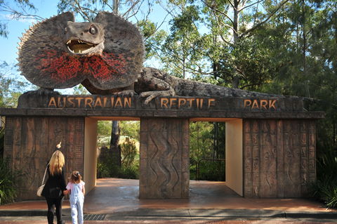 Australian Reptile Park - Accommodation Great Ocean Road 5