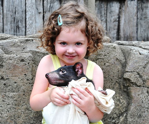 Australian Reptile Park - Accommodation Great Ocean Road 8