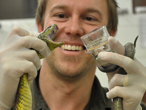 Australian Reptile Park - Accommodation Great Ocean Road 9